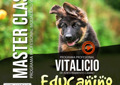 Educanino