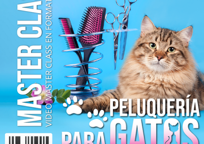 Peluqueria para gatos