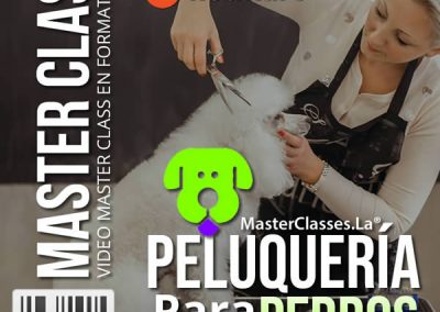 Peluqueria Para Perros